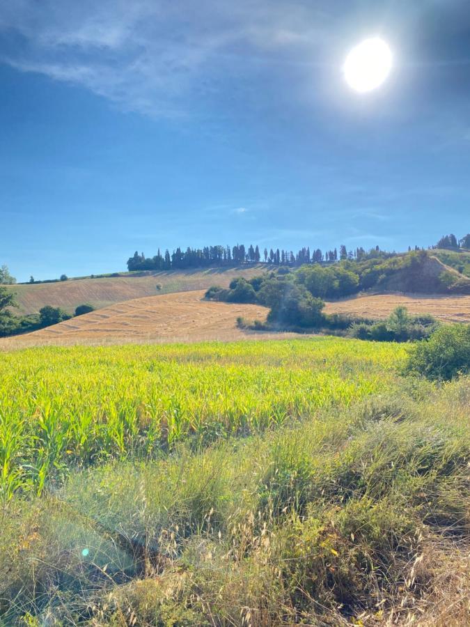 Agriturismo I Moricci Peccioli Экстерьер фото