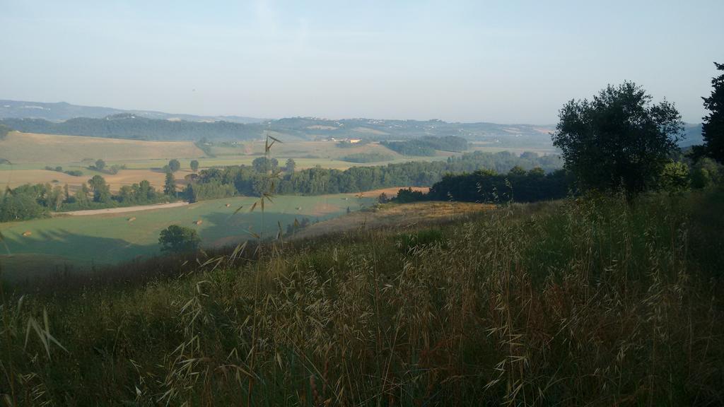 Agriturismo I Moricci Peccioli Экстерьер фото