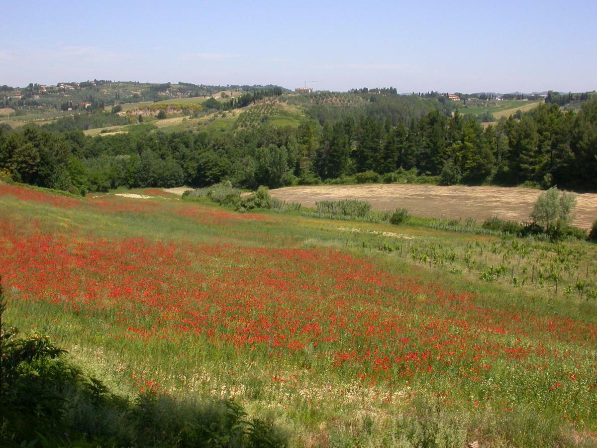 Agriturismo I Moricci Peccioli Экстерьер фото